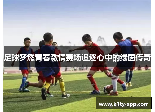 足球梦燃青春激情赛场追逐心中的绿茵传奇