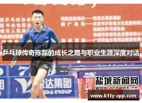 乒乓球传奇陈磊的成长之路与职业生涯深度对话