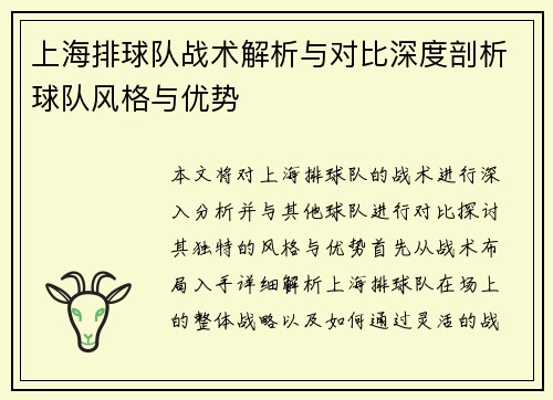 上海排球队战术解析与对比深度剖析球队风格与优势